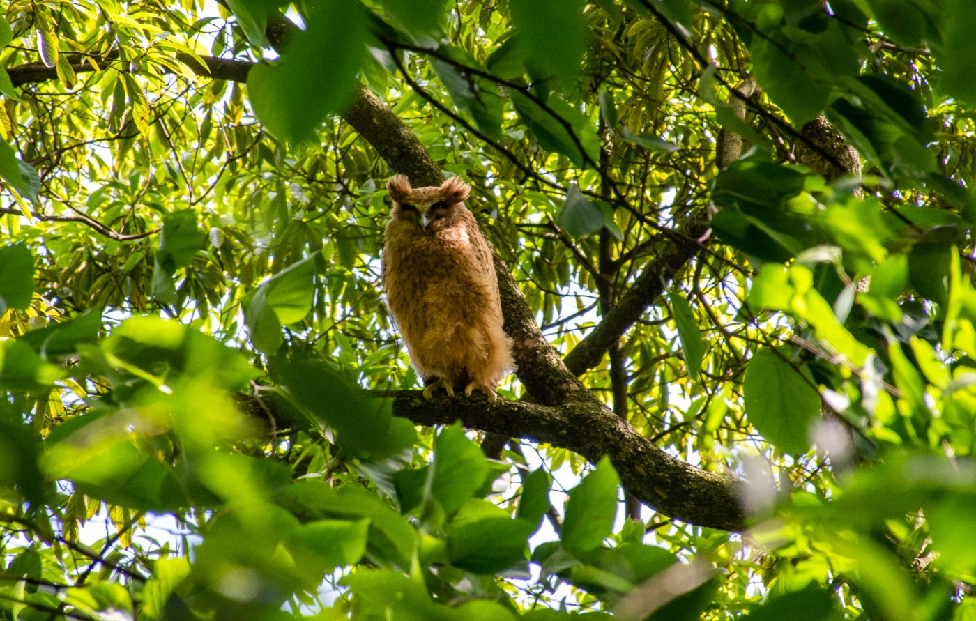 DSC_5081.jpg