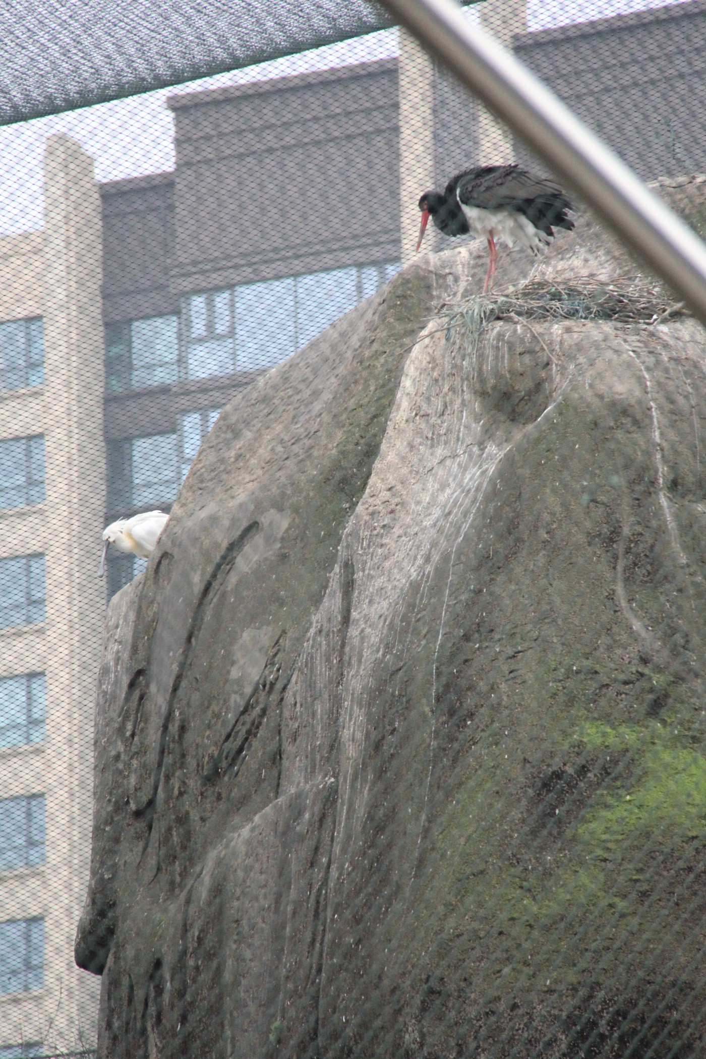 IMG_0008-18.JPG