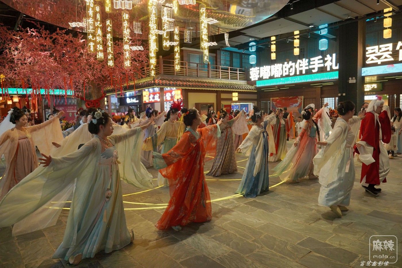 DSC08523_.jpg