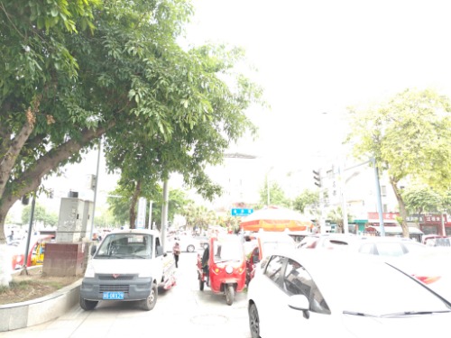 IMG20250509084558.jpg