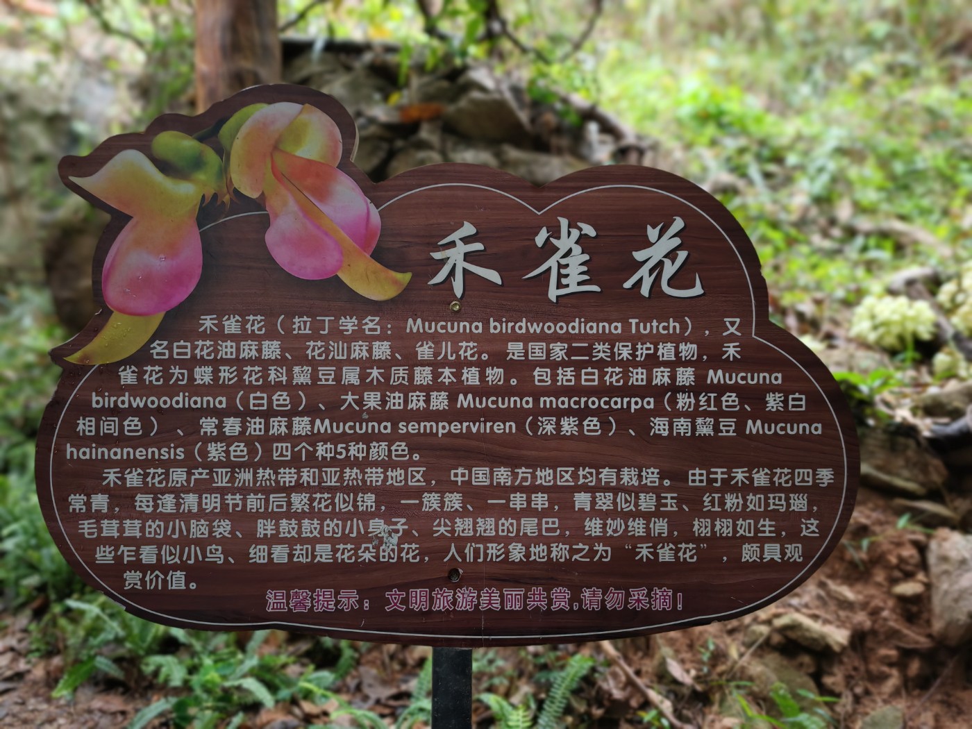 IMG_20250315_174713.jpg