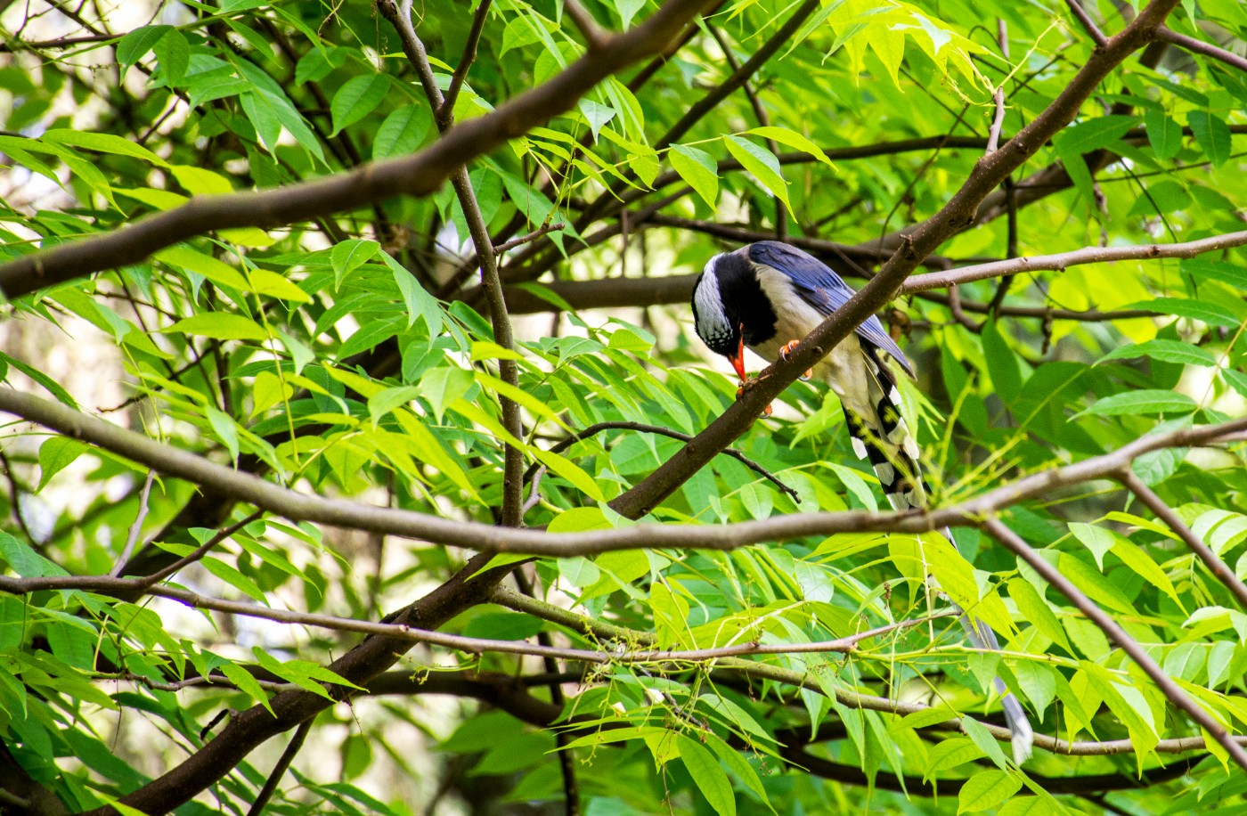 DSC_4499.jpg