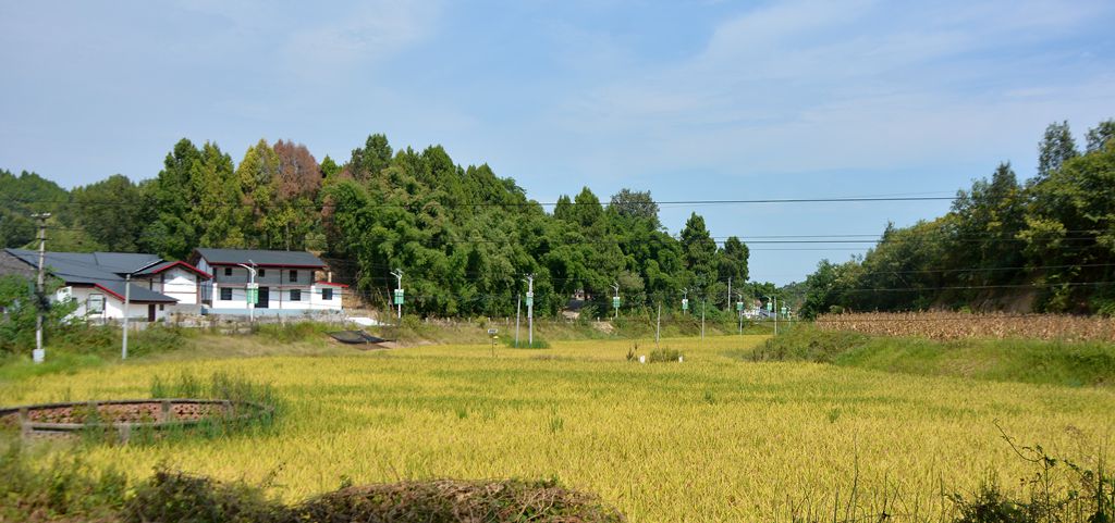 ˮ羰1.jpg