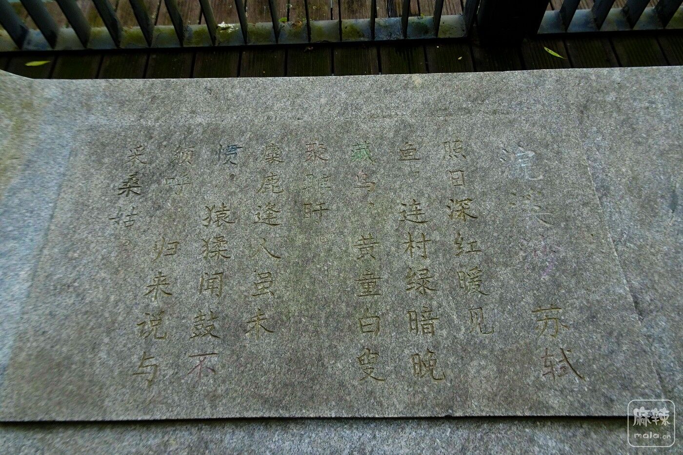 DSC06859.JPG