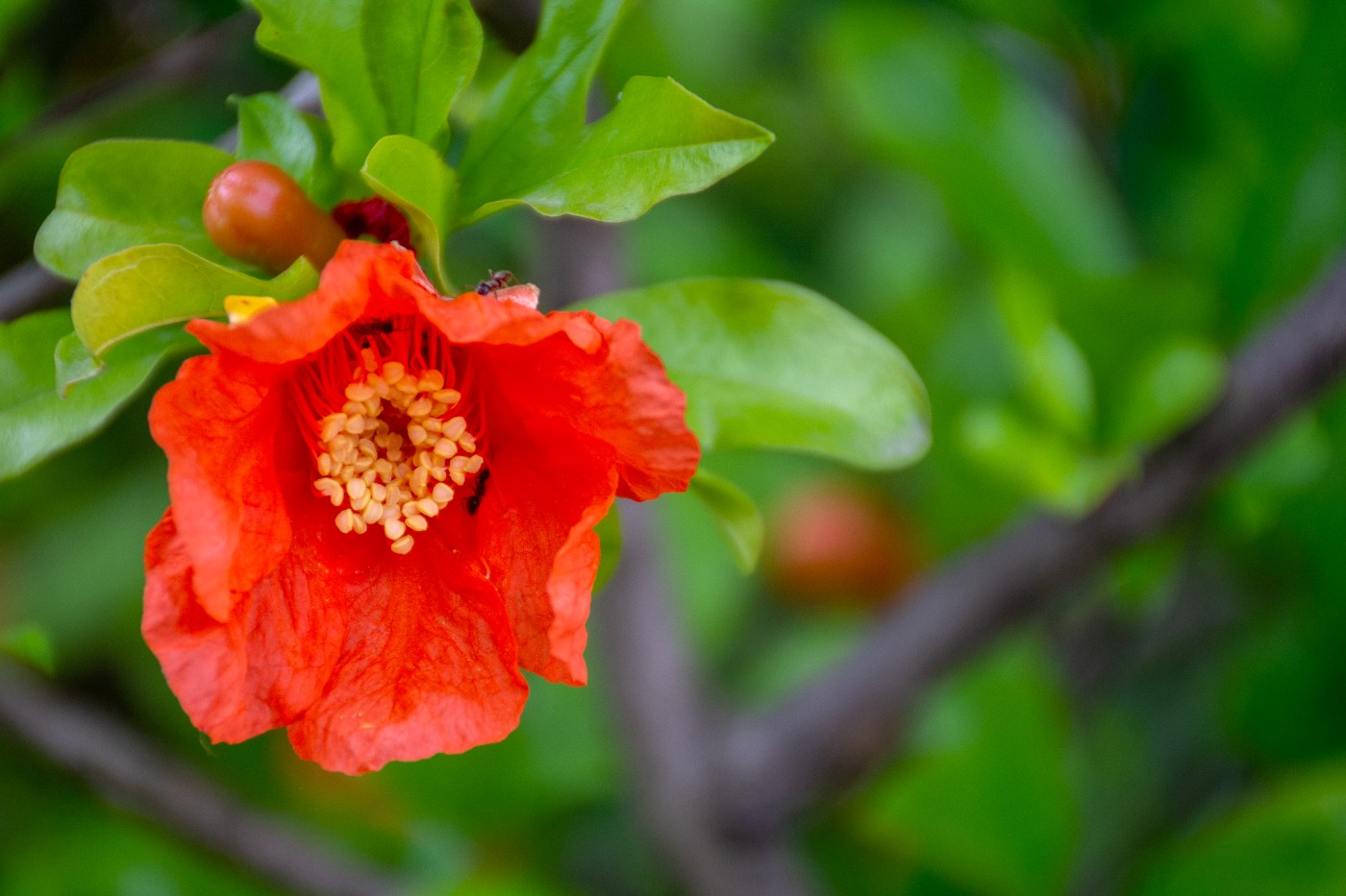 DSC_5194.jpg
