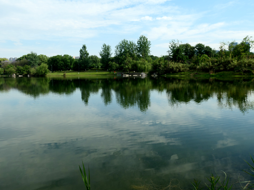L1043836_.jpg