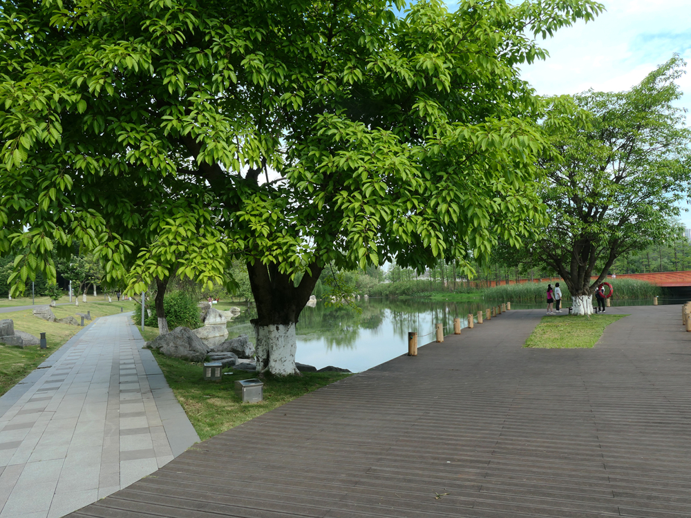 L1043840_.jpg