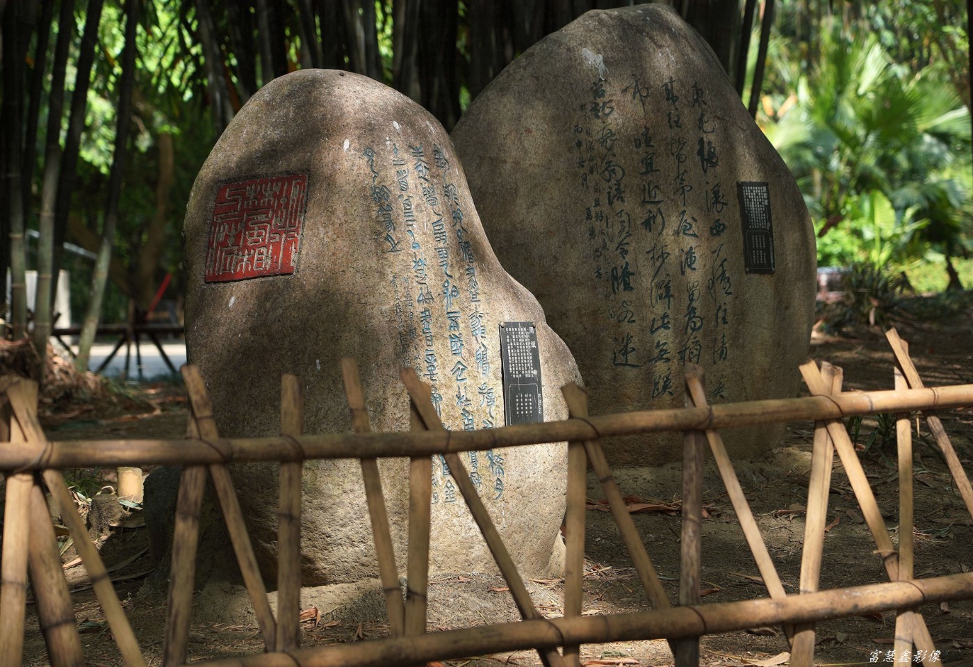 DSC08665_.jpg