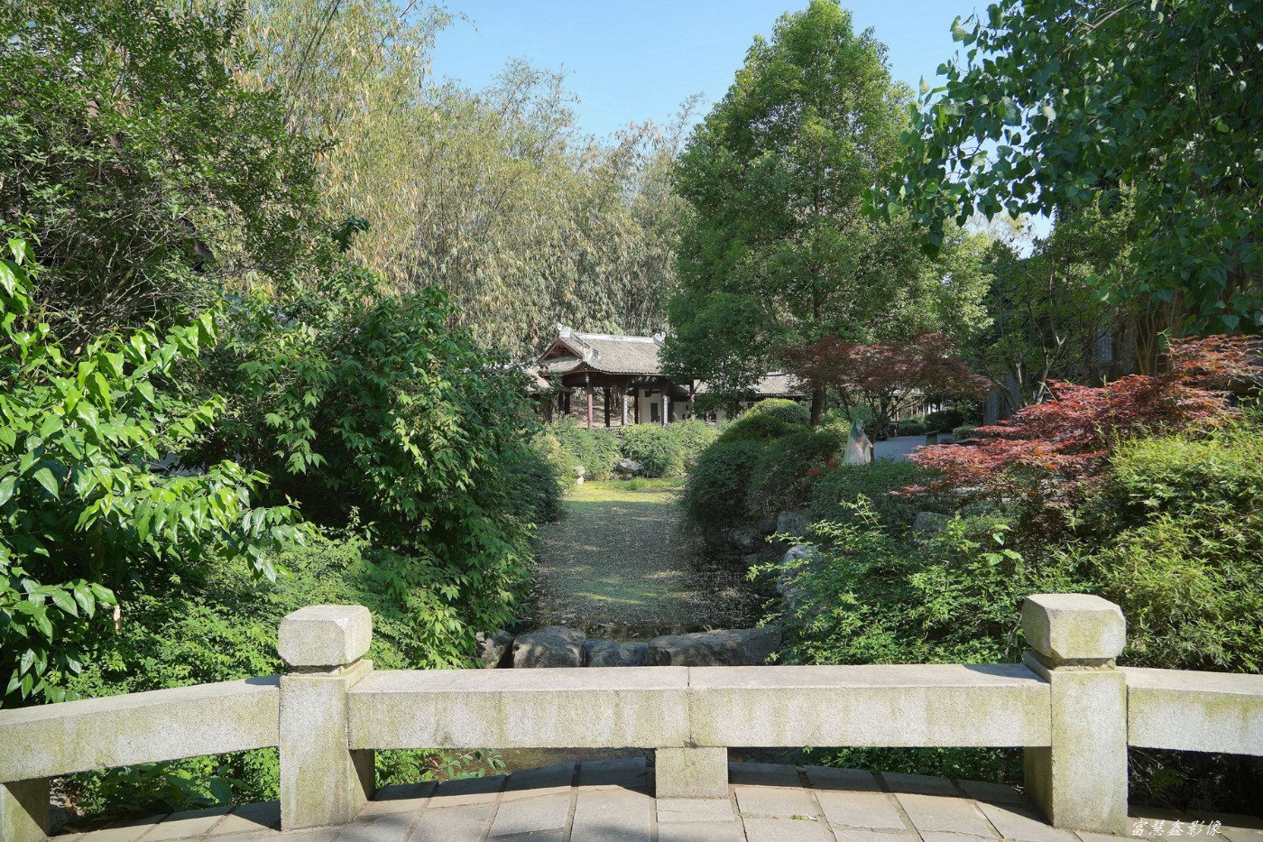 DSC08817_.jpg