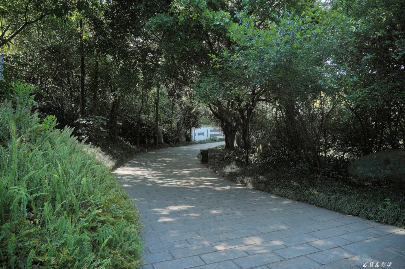 DSC08825_.jpg