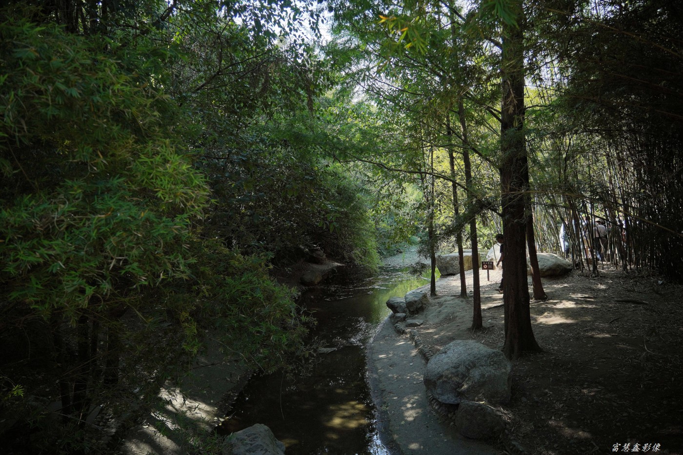 DSC08818_.jpg
