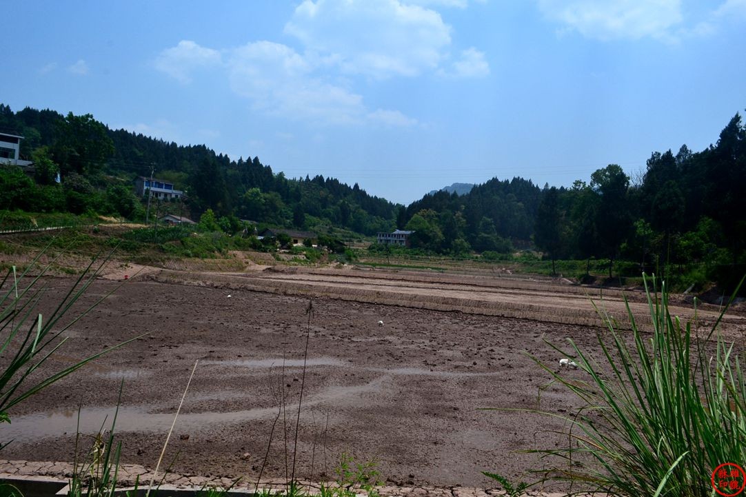DSC_6987.JPG