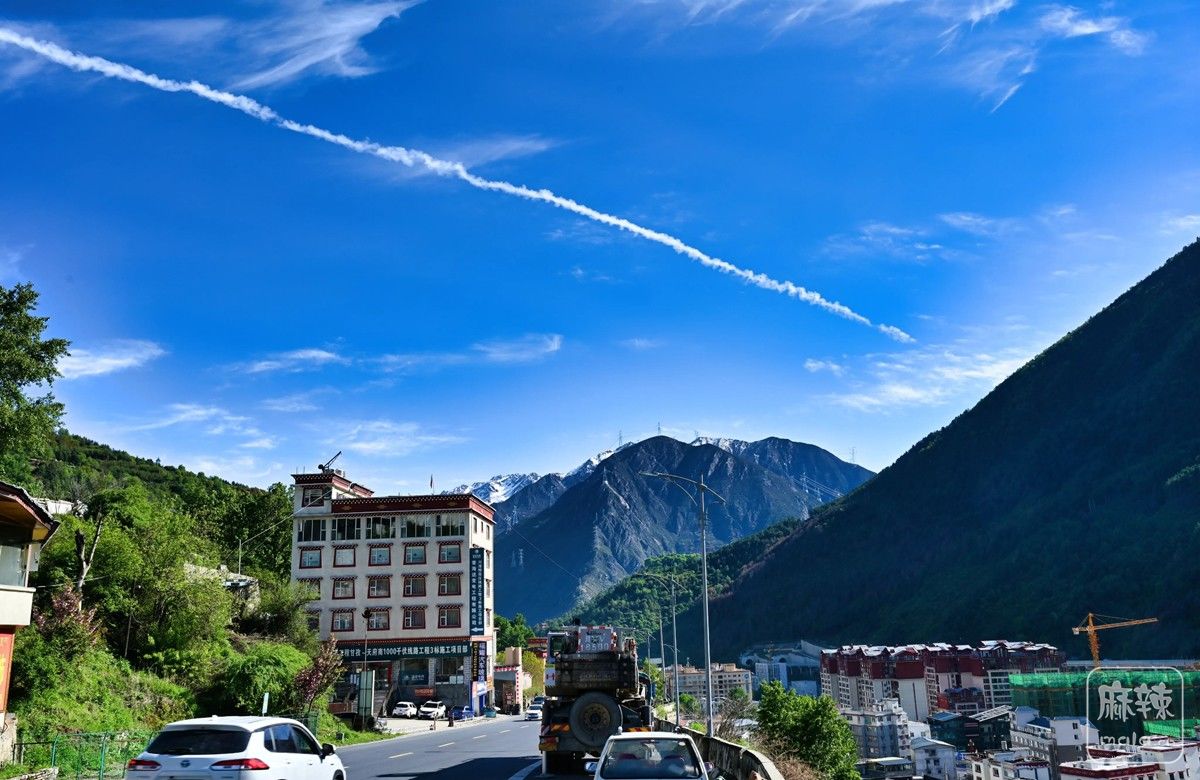 DSC_8302_.jpg