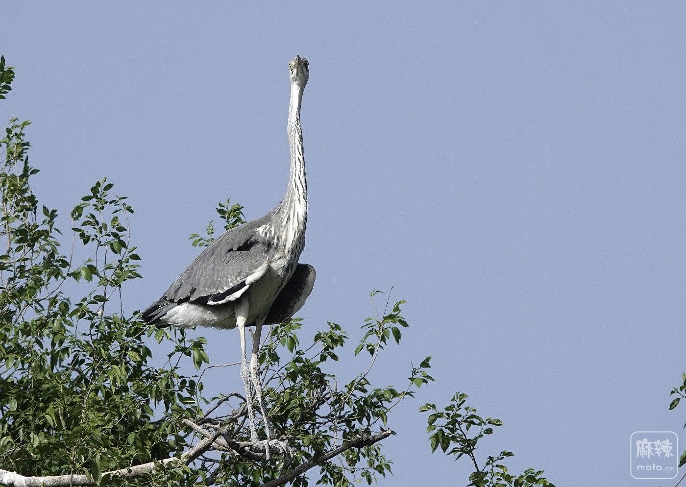 _DSC5240_.jpg