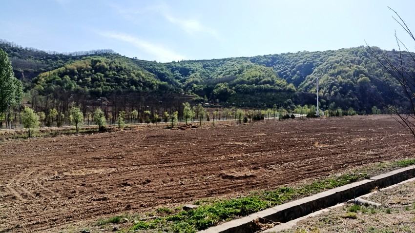 wx_camera_1746234707995_conew1.jpg