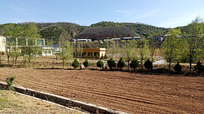wx_camera_1746235075336_conew1.jpg