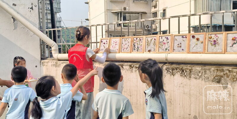 0511b519d0674cb0a68b49d73a2f7799~tplv-tt-origin-web:gif.jpeg