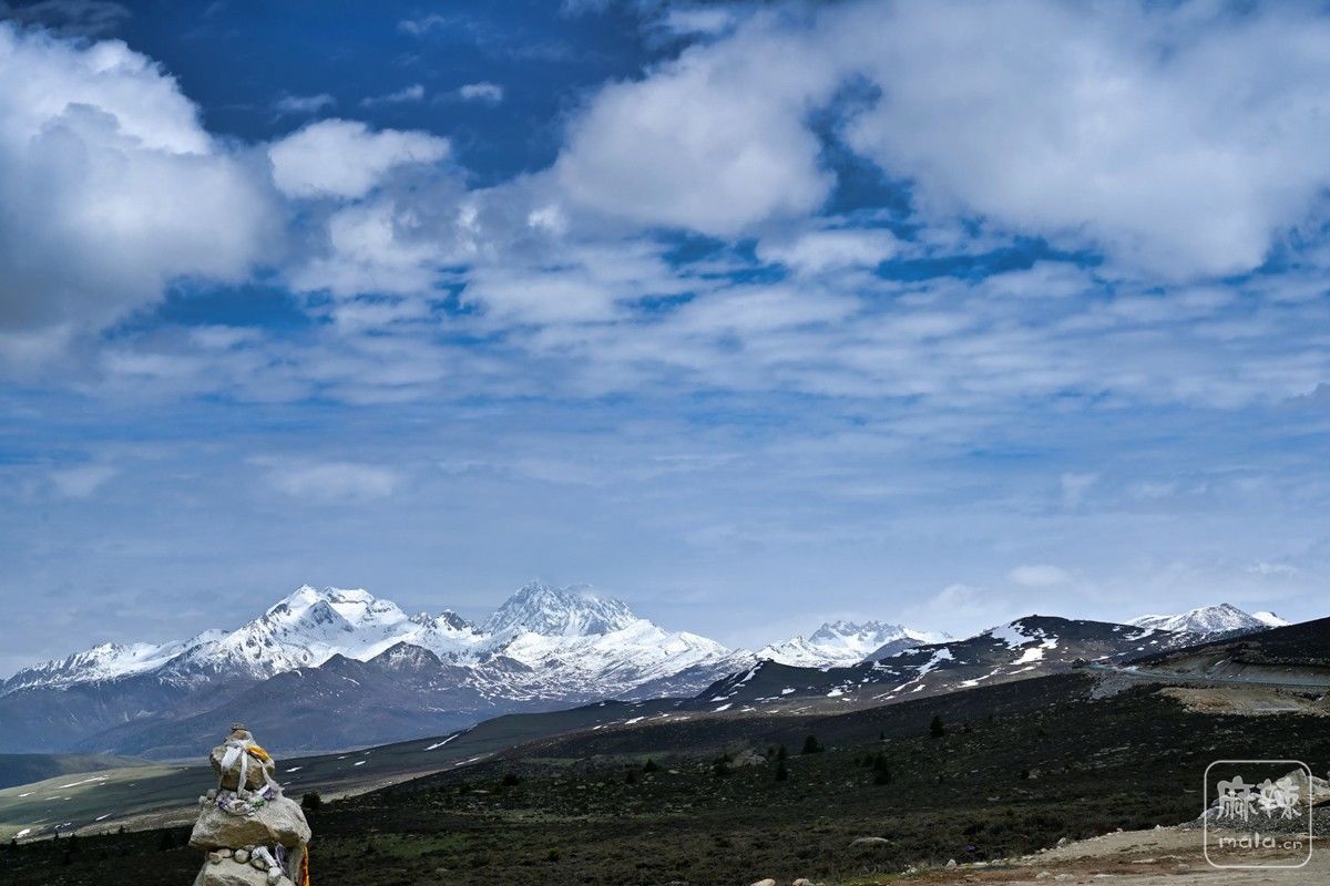 DSC_8383_.jpg