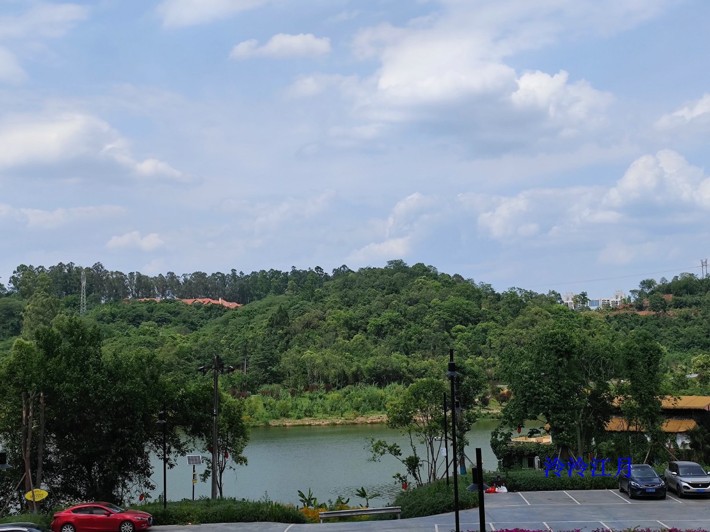 IMG_20250525_150500.jpg