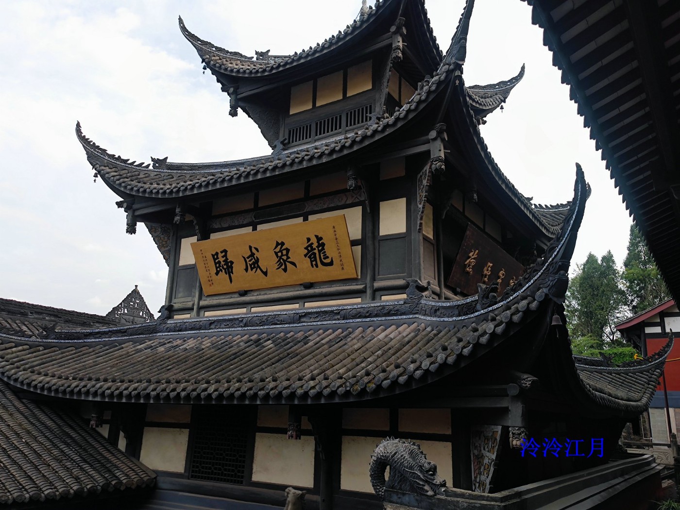 IMG_20250525_172232.jpg