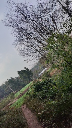 IMG_20250120_12303396.jpeg