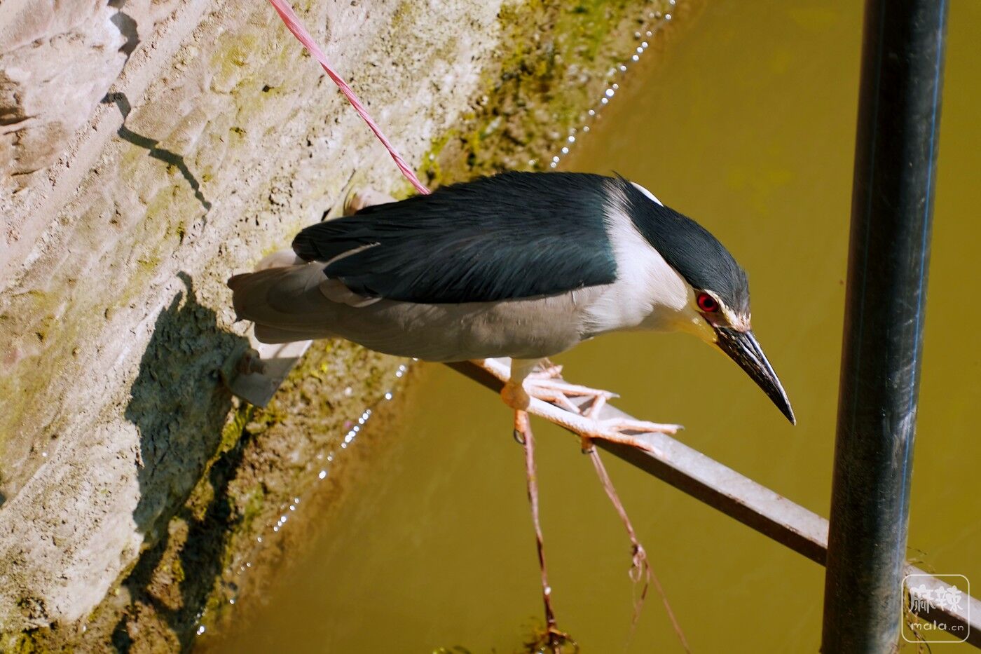 BF_01056.JPG