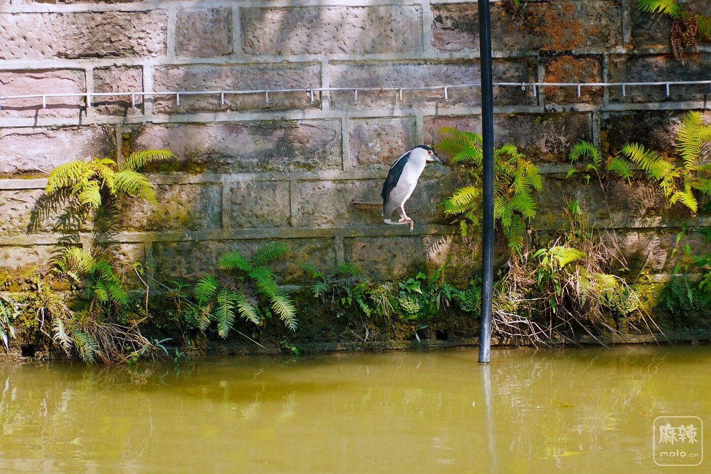 BF_00854.JPG