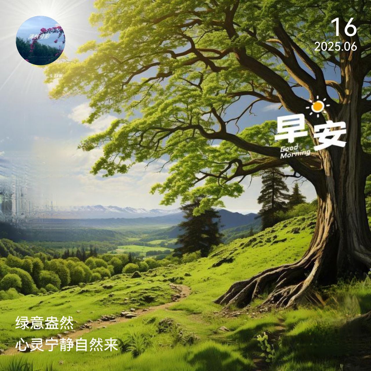 20250616071207front2_0_882163_Foc3jj8Vj03BaO2uD3lwXguGuIhD.jpg