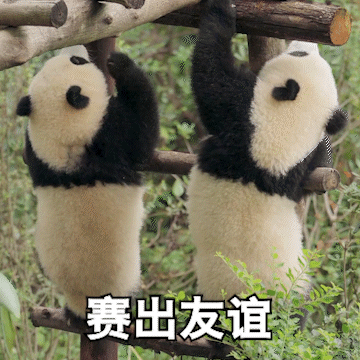 001F7zcpgy1hgcd2p5gnwg60a00a0kjm02.gif