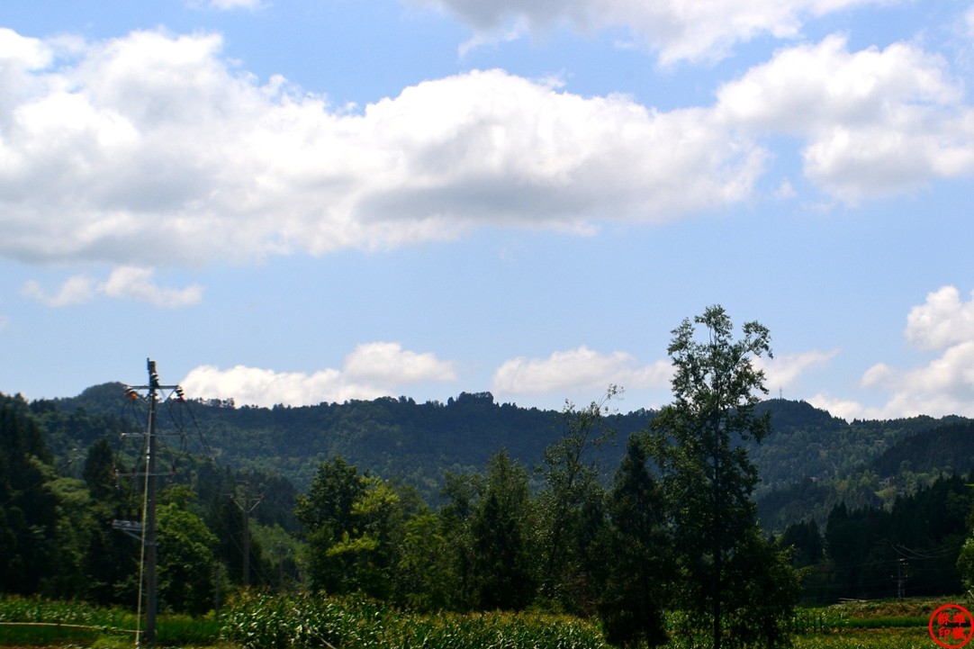 DSC_7334.JPG