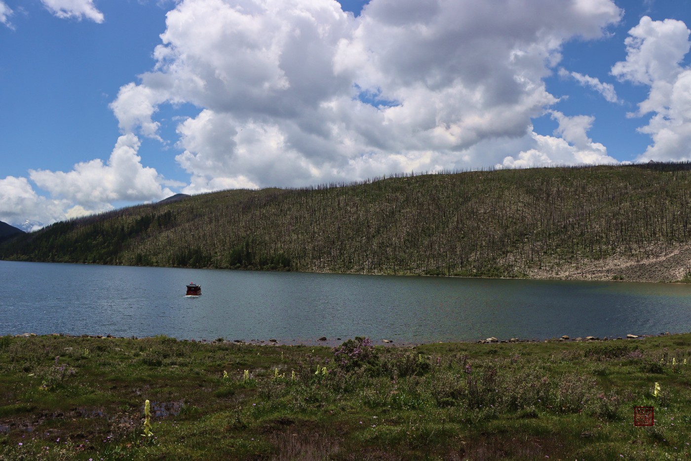 IMG_0799.jpg