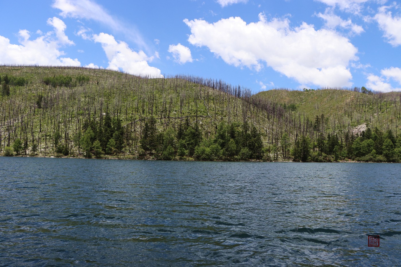 IMG_1096.jpg