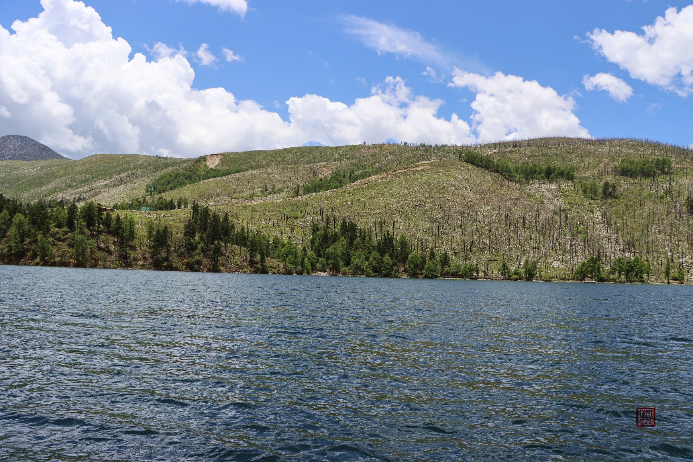 IMG_1111.jpg
