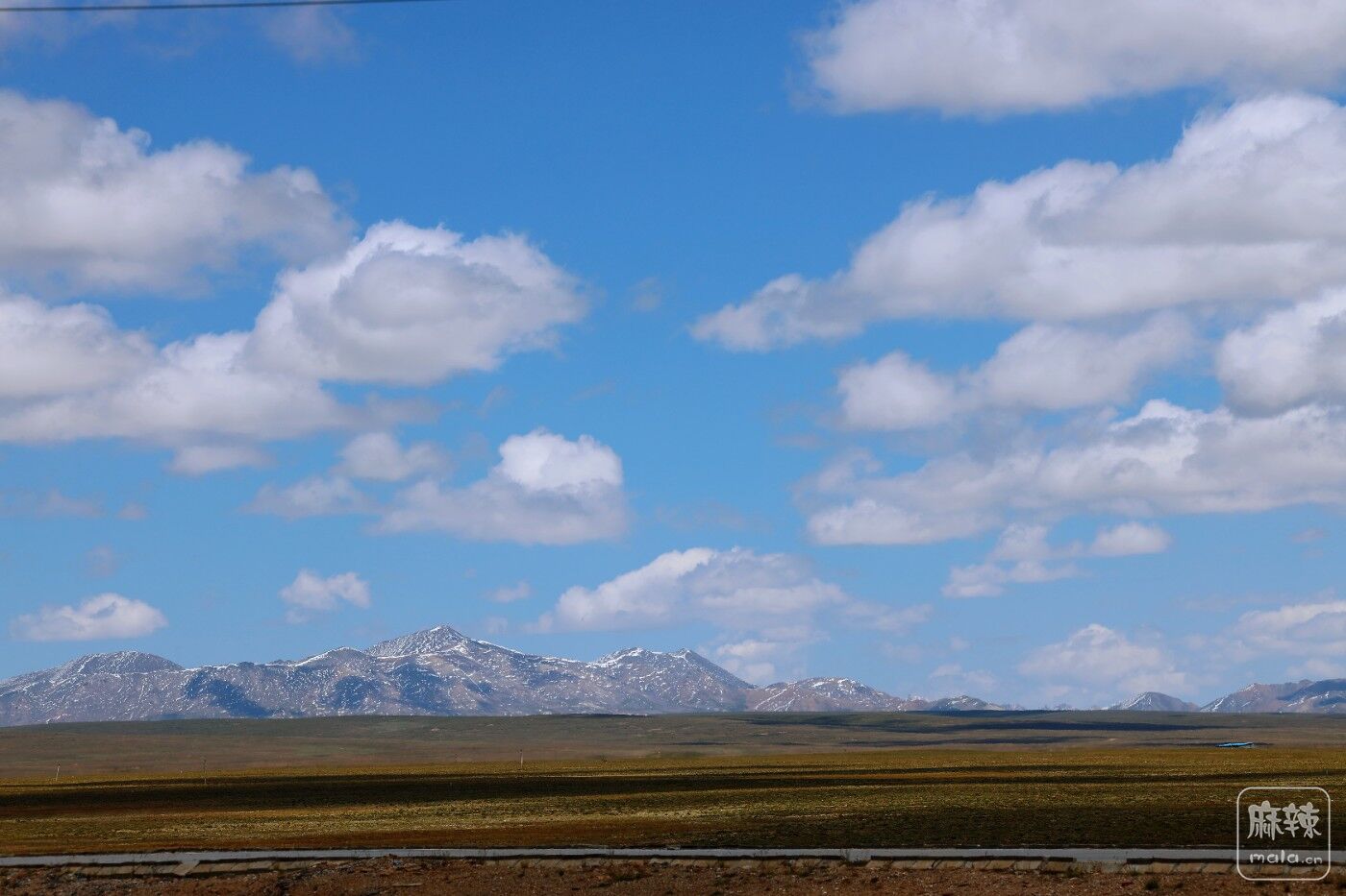 8O1A3648.JPG