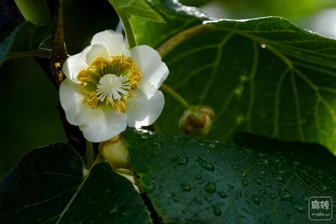 CD1_7123_.jpg
