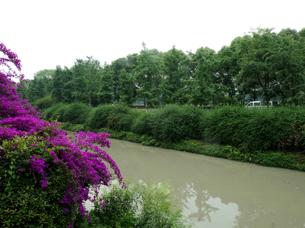 L1046921_.jpg