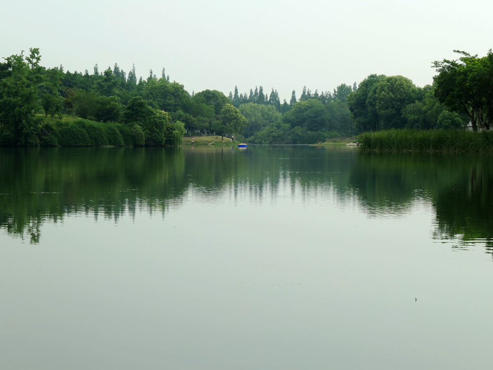 L1047118_.jpg