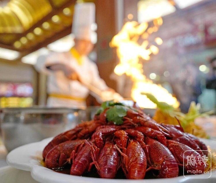 80cb39dbb6fd52660e419bbcbc8cc23bd5073650.jpeg@f_auto