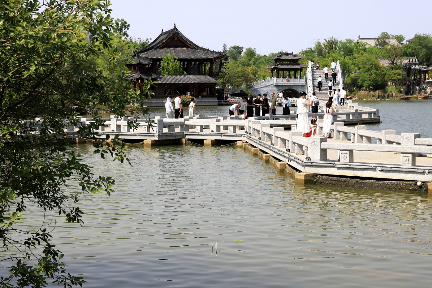 IMG_9051.jpg
