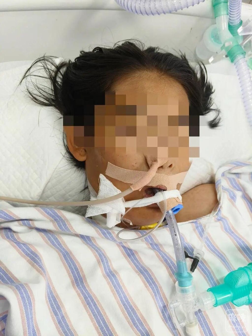 8694a4c27d1ed21b1c960fbe966bafd451da3f26.jpeg@f_auto