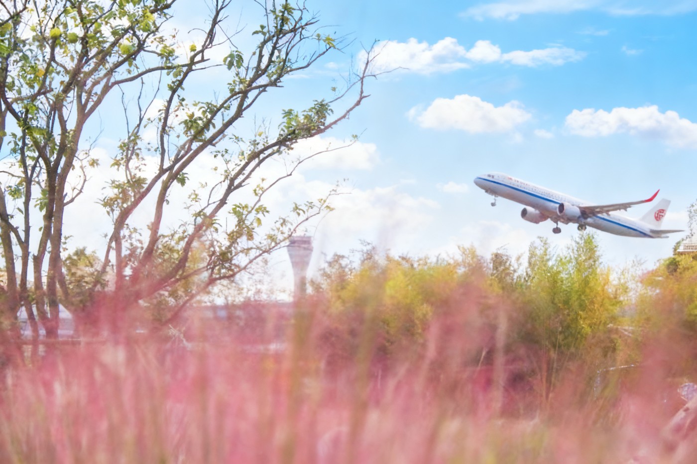 �ո�������԰