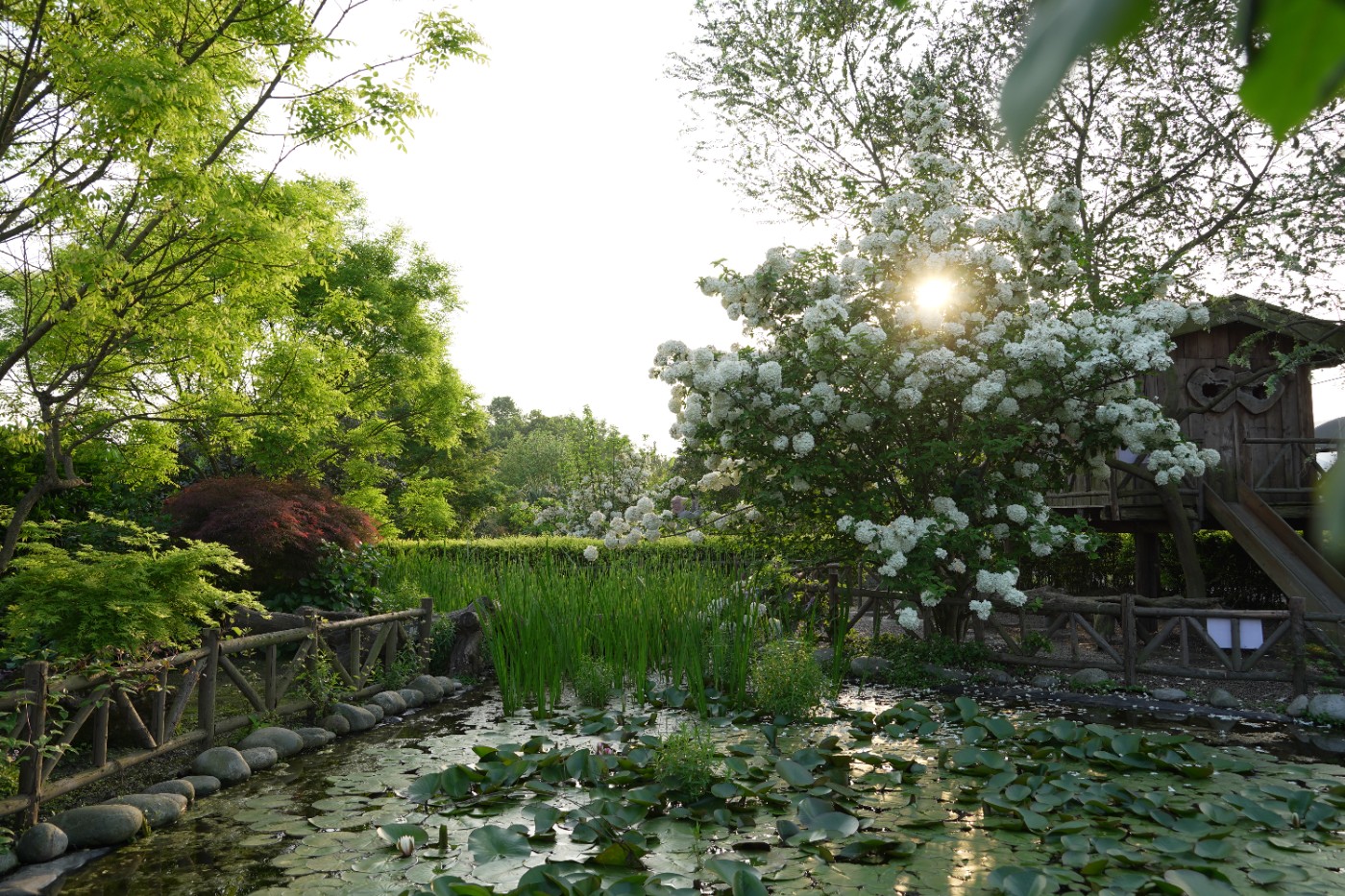 DSC05163 �л�ľ����.JPG