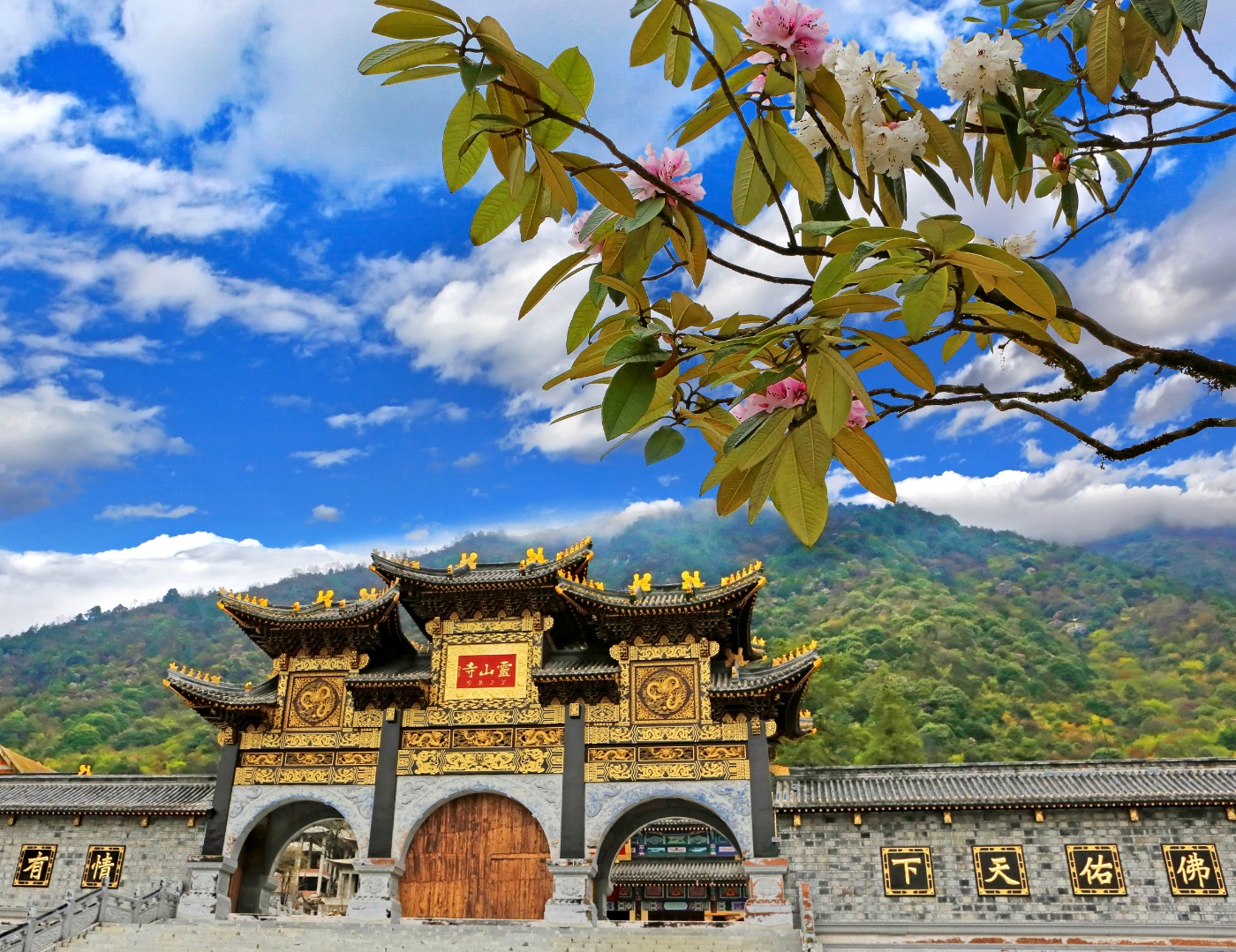 ZOUS6619��ɽ�����껨  ��ɭ �� (1).jpg