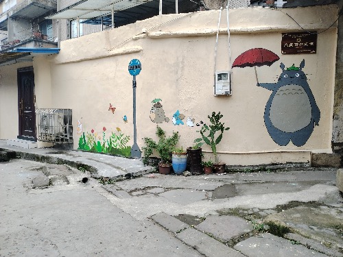 IMG_20231120_095121.jpeg