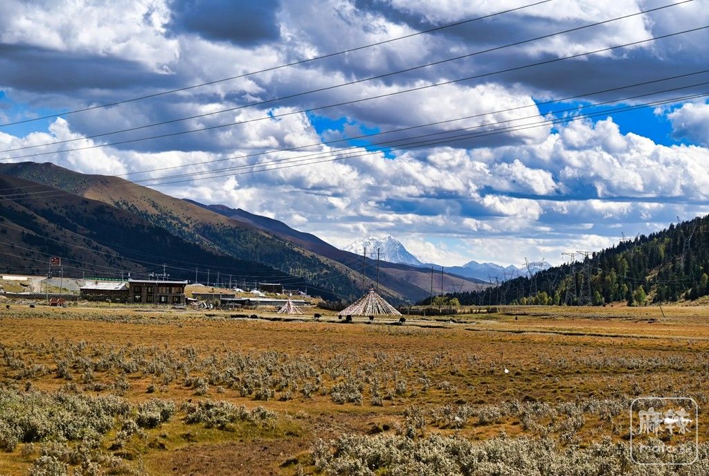 ���� ���Ρ�����Ԫ44.jpg