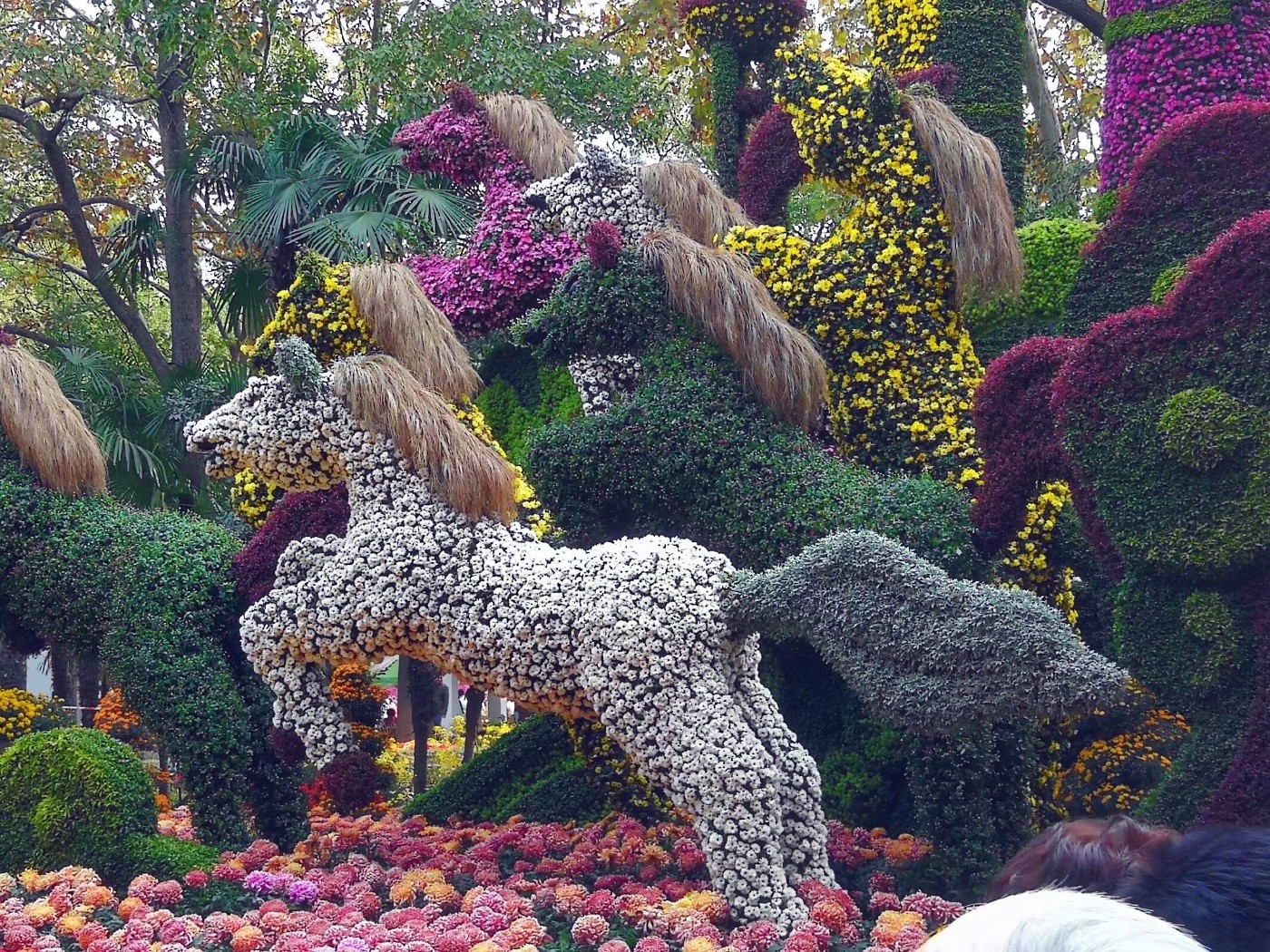 psb - 2025-08-23T164045.632.jpg