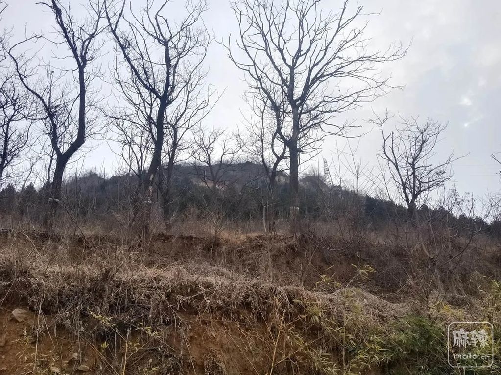 a9d3fd1f4134970a0cc9931b55e4d2d8a7865d0e.jpeg@f_auto