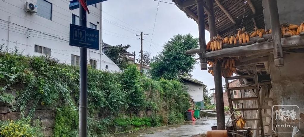 3c5ab96a69d6450eb5ee7e558f2ed9d5~tplv-tt-origin-web:gif.jpeg 3c5ab96a69d6450eb5ee7e558f2ed9d5~tplv-tt-origin-web:gif.jpeg