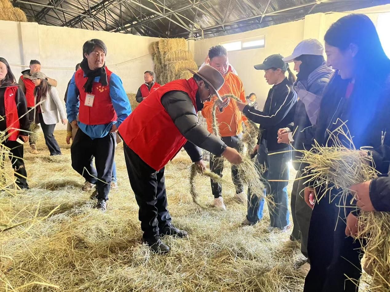 20251030115329front2_0_7851053_FrZ3tbFur0toh_eyC8dX2Md0cNgG.jpg 20251030115329front2_0_7851053_FrZ3tbFur0toh_eyC8dX2Md0cNgG.jpg