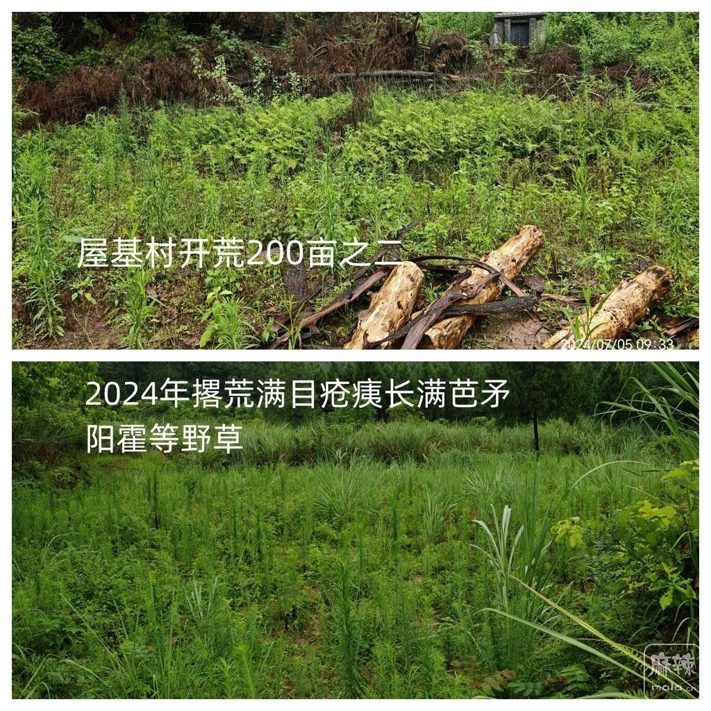 113310axpq8cz8wx7ifx7r (1).jpg